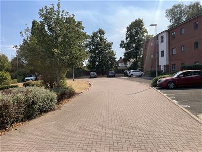 Picture 14